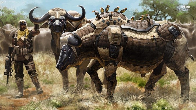 国内为什么那么多人黑 WordPress ？